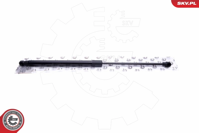 Gas Spring, boot/cargo area